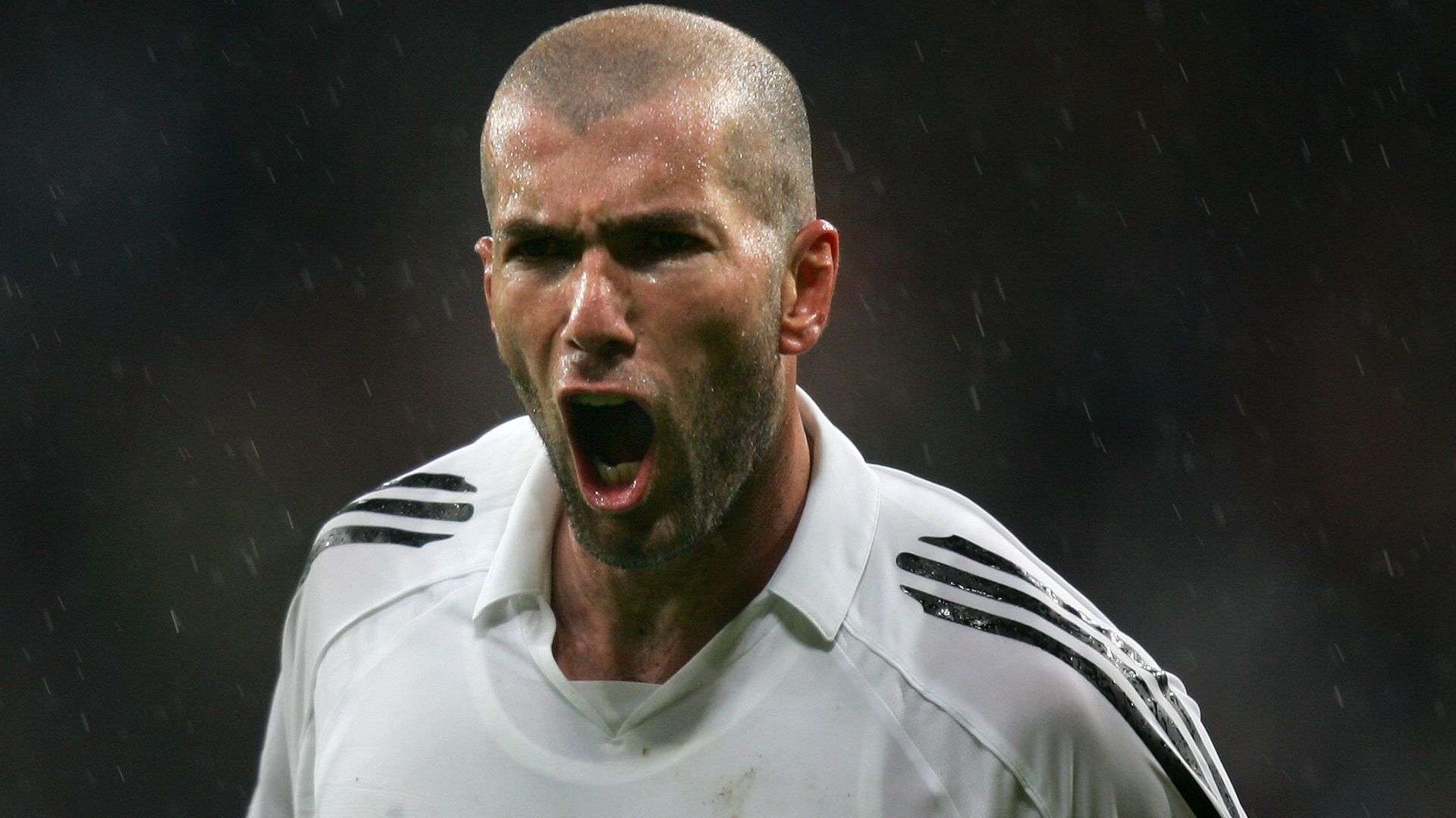 迷之间情感 迷之间情感