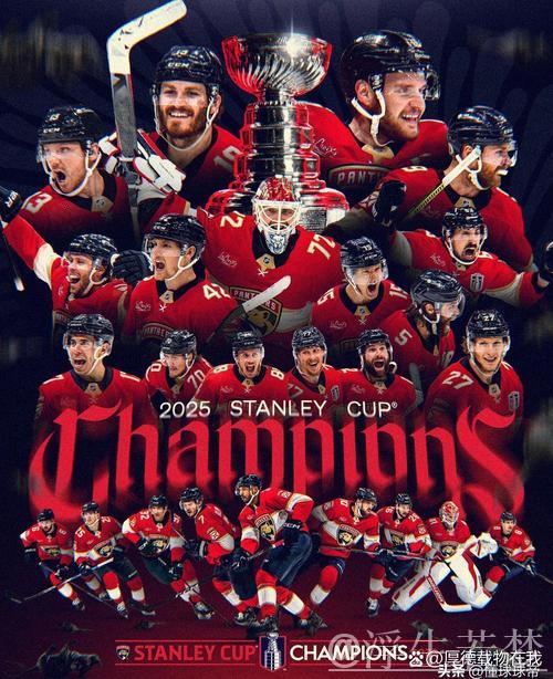 佛罗里达美洲豹完胜达拉斯星4-0:常规赛精彩集锦 佛罗里达美洲豹完胜达拉斯星4-0:常规赛精彩集锦