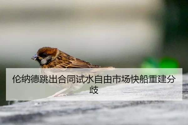 lun-na-de-tiao-chu-he-tong-shi-shui-zi-you-shi-chang-kuai-chuan-chong-jian-fen-qi-2-343.jpg
